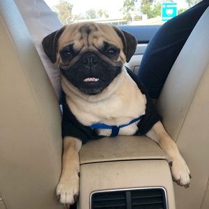 All offers welcomed 💕